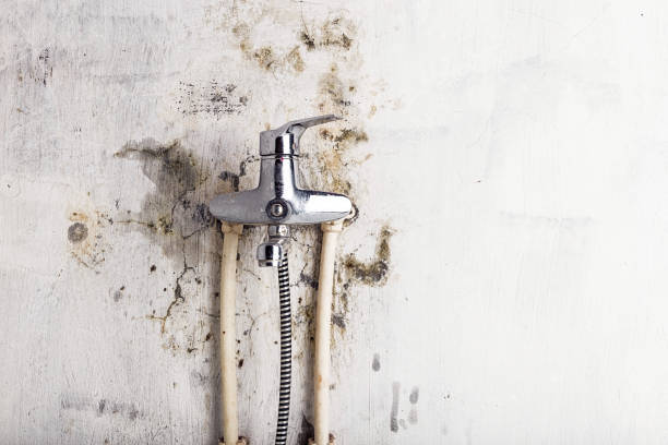 Best Mold Remediation  in Cordaville, MA