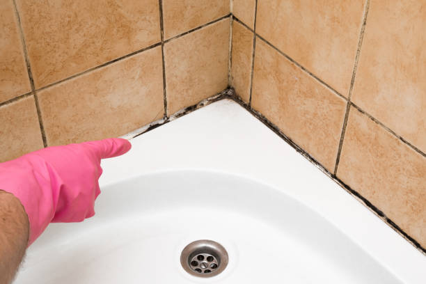 Best Mold Testing  in Cordaville, MA